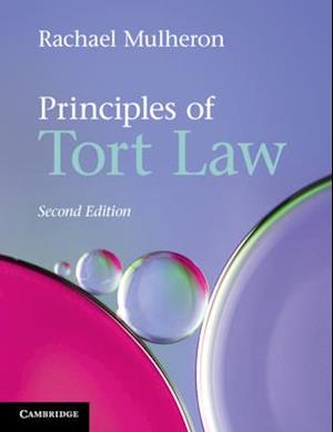 Principles of Tort Law (Revised)