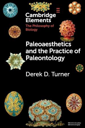 Paleoaesthetics and the Practice of Paleontology