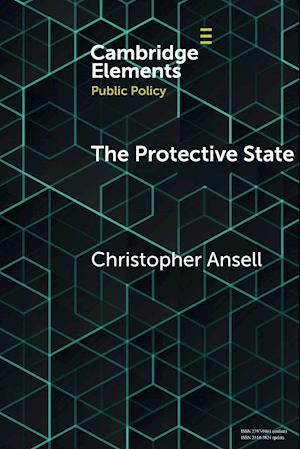 The Protective State