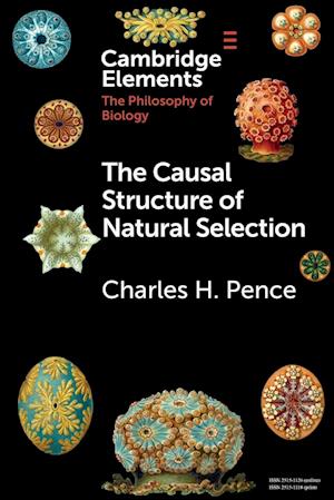 The Causal Structure of Natural Selection