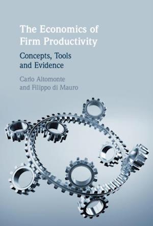 Economics of Firm Productivity