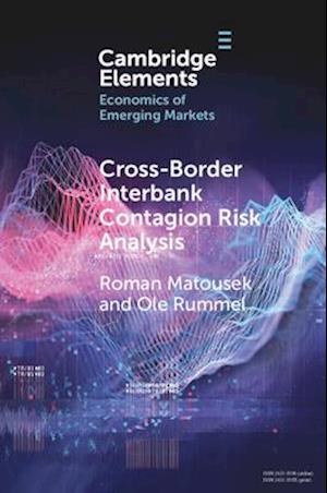 Cross-Border Interbank Contagion Risk Analysis