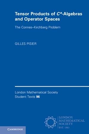 Tensor Products of C*-Algebras and Operator Spaces