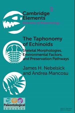 The Taphonomy of Echinoids