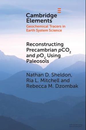 Reconstructing Precambrian pCO2 and pO2 Using Paleosols