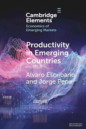 Productivity in Emerging Countries