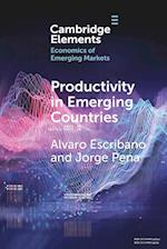 Productivity in Emerging Countries