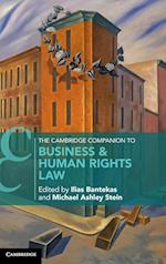The Cambridge Companion to Business and Human Rights Law