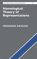 Homological Theory of Representations