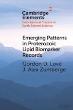 Emerging Patterns in Proterozoic Lipid Biomarker Records