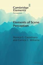Elements of Scene Perception