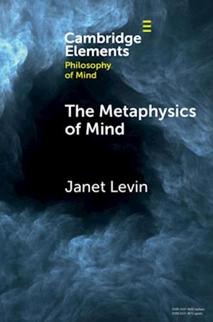 Metaphysics of Mind