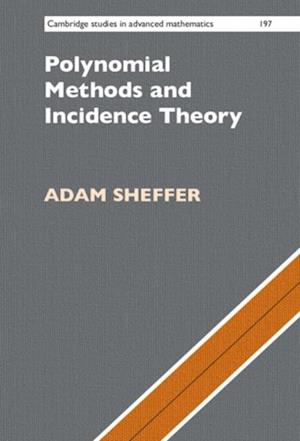 Polynomial Methods and Incidence Theory