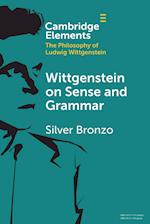 Wittgenstein on Sense and Grammar