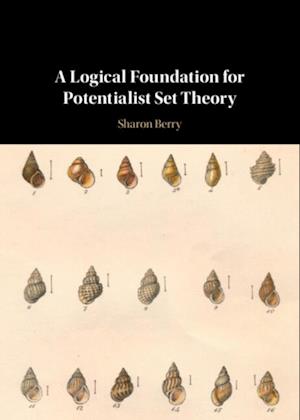 Logical Foundation for Potentialist Set Theory