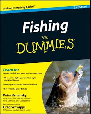 Fishing for Dummies