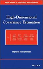 High–Dimensional Covariance Estimation