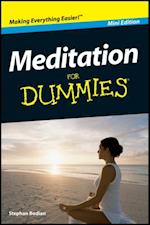 Meditation For Dummies, Mini Edition