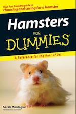 Hamsters For Dummies