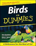 Birds For Dummies