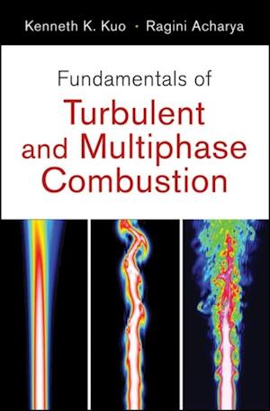 Fundamentals of Turbulent and Multiphase Combustion