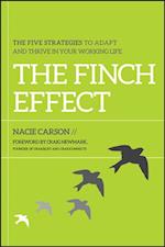 The Finch Effect