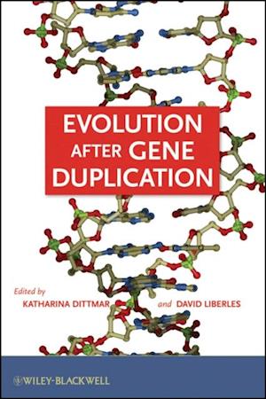 Evolution after Gene Duplication