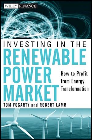 Investing in the Renewable Power Market