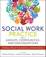 Social Work Practice with Groups, Communities, and Organizations