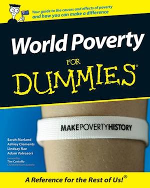 World Poverty for Dummies