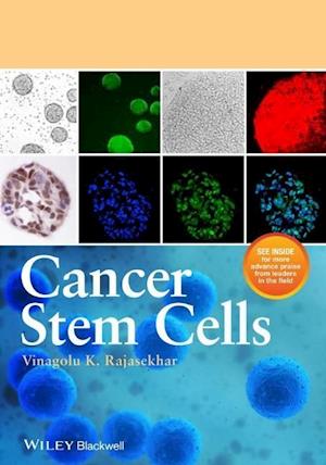 Cancer Stem Cells