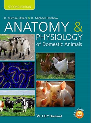 Anatomy and Physiology of Domestic Animals, Second  Edition