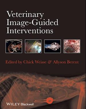 Veterinary Image–Guided Interventions