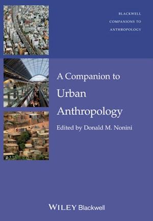 Companion to Urban Anthropology