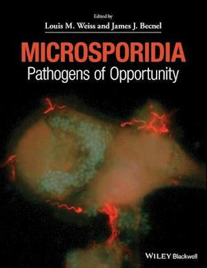 Microsporidia