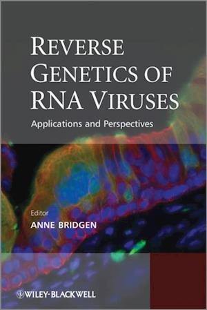 Reverse Genetics of RNA Viruses