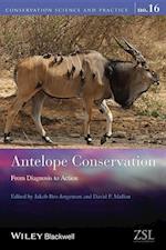 Antelope Conservation – From Diagnosis to Action