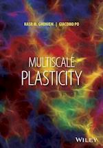 Multiscale Plasticity