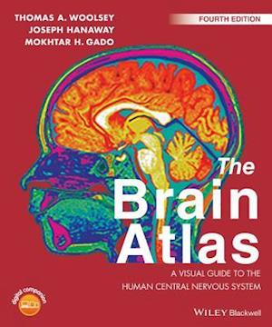 Brain Atlas