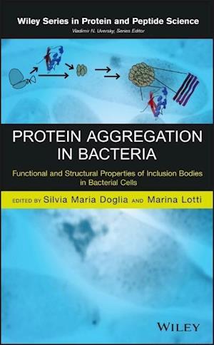 Protein Aggregation in Bacteria – Functional and Structural Properties of Inclusion Bodies in Bacterial Cells