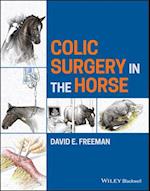Colic Surgery in the Horse