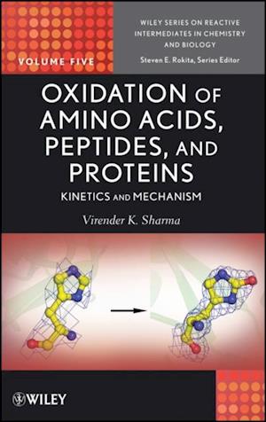 Oxidation of Amino Acids, Peptides, and Proteins