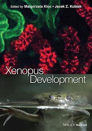 Xenopus Development