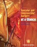 Vascular and Endovascular Surgery at a Glance