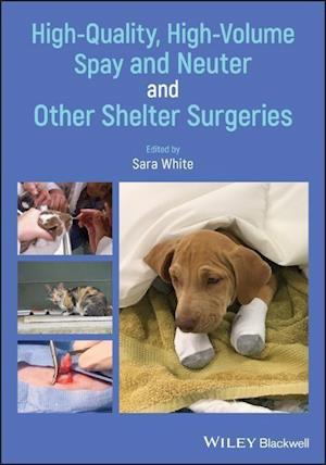 High–Quality, High–Volume Spay and Neuter and Other Shelter Surgeries