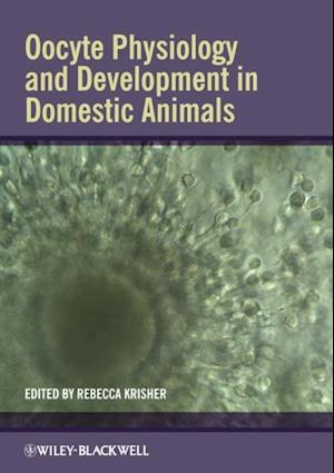 Oocyte Physiology and Development in Domestic Animals