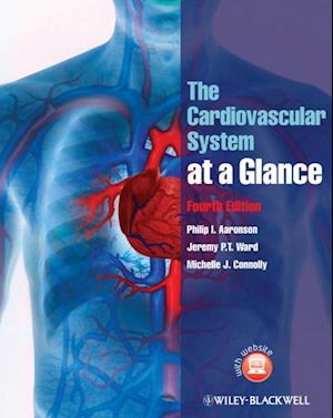 Cardiovascular System at a Glance