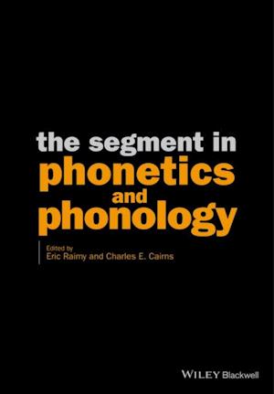 Segment in Phonetics and Phonology