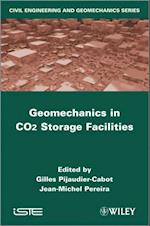 Geomechanics in CO2 Storage Facilities