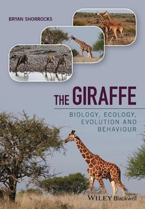 The Giraffe – Biology, Ecology, Evolution and Behaviour